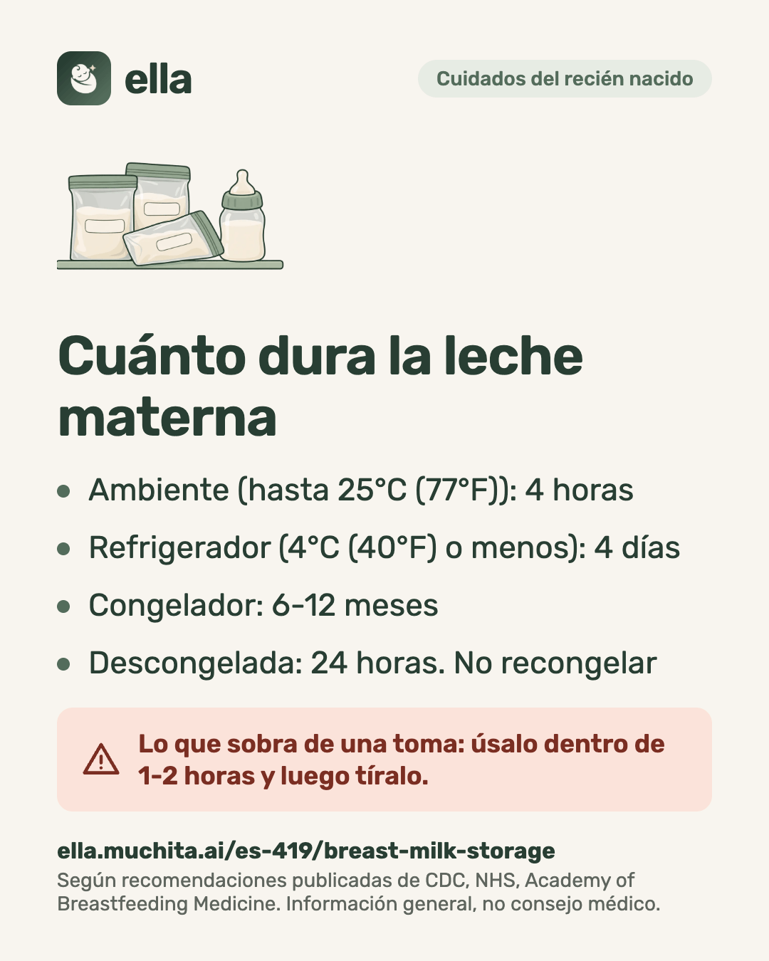 Cuánto dura la leche materna