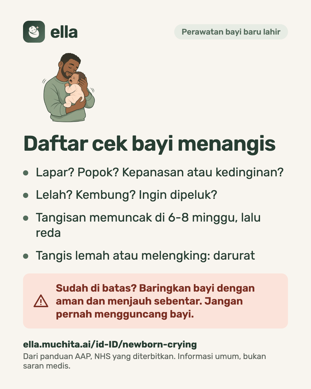 Daftar cek bayi menangis