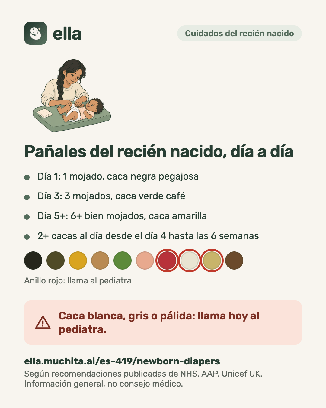 Pañales del recién nacido, día a día