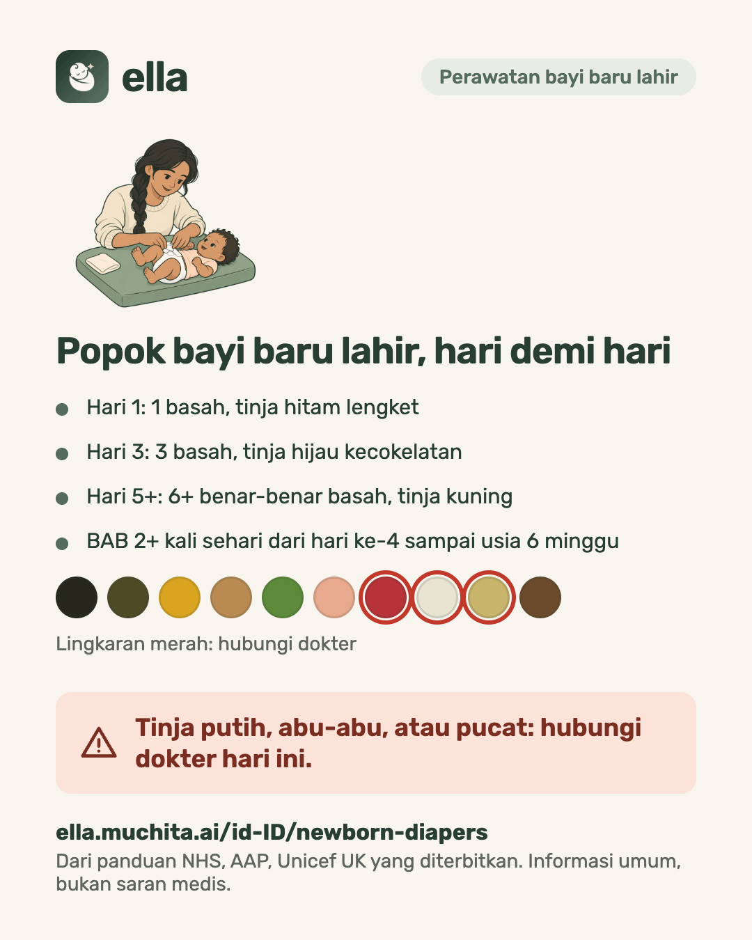 Popok bayi baru lahir, hari demi hari