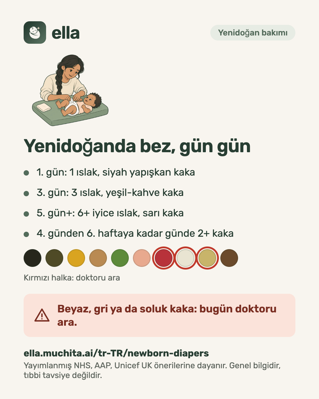 Yenidoğanda bez, gün gün