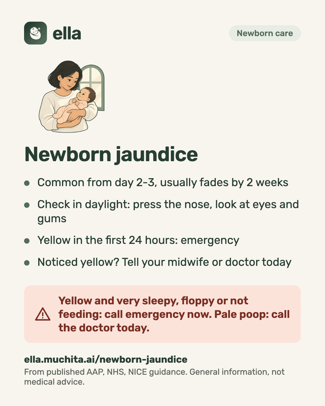 Newborn jaundice