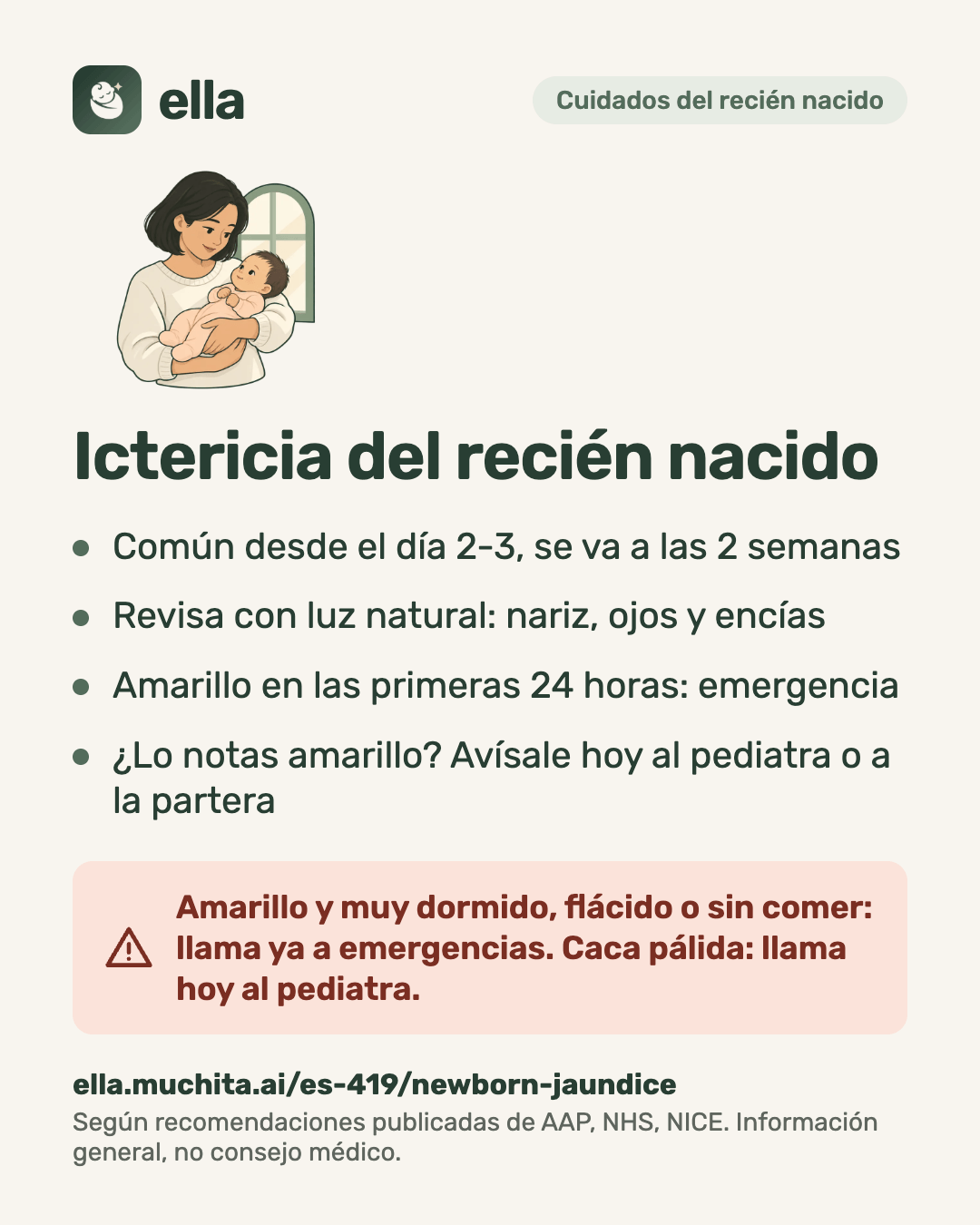 Ictericia del recién nacido