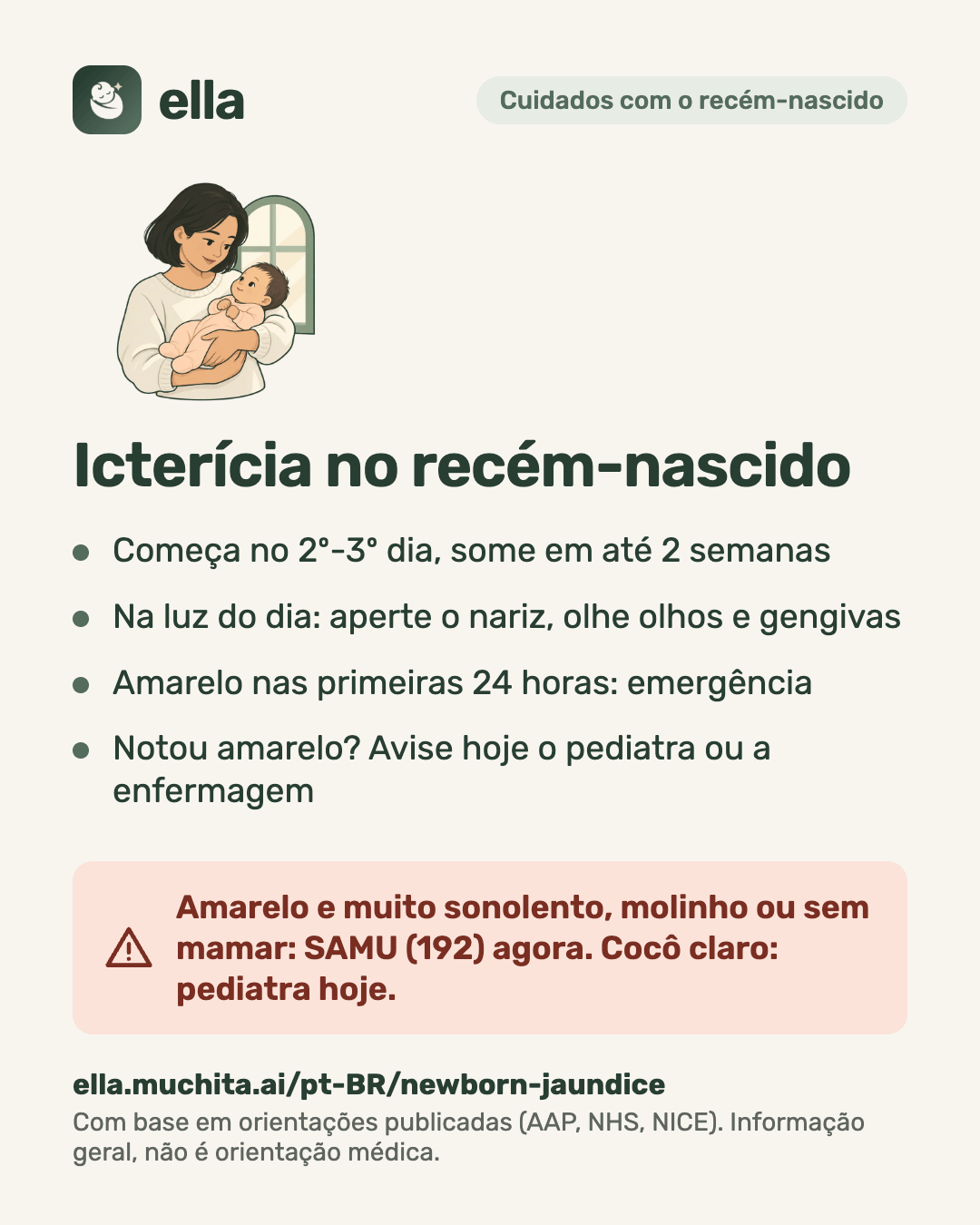 Icterícia no recém-nascido