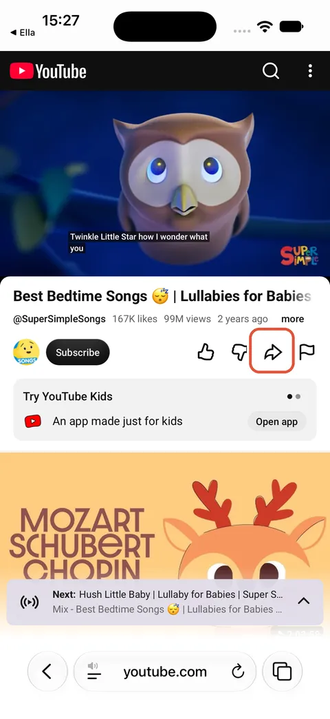 iPhone: 1. Copy the link